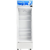 Super General 395 Liter Gross Single-Door Chiller, Upright Beverage-Showcase, Energy-Saving, Low-Noise, SGSC-398 (White)