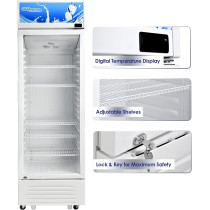 Super General 395 Liter Gross Single-Door Chiller, Upright Beverage-Showcase, Energy-Saving, Low-Noise, SGSC-398 (White)