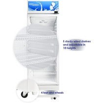 Super General 395 Liter Gross Single-Door Chiller, Upright Beverage-Showcase, Energy-Saving, Low-Noise, SGSC-398 (White)