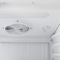 Super General 395 Liter Gross Single-Door Chiller, Upright Beverage-Showcase, Energy-Saving, Low-Noise, SGSC-398 (White)