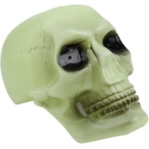 Brain Giggles Glow In The Dark Plastic Skull Bone Halloween Decoration