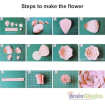 Brain Giggles 2 Pcs Light Pink 20Cm Diy Rose 3D Paper Flower Paper Backdrop Flower Crafting Wall Decoration For Wedding Birthday Home Party Celebration