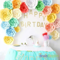 Brain Giggles 2 Pcs Light Pink 20Cm Diy Rose 3D Paper Flower Paper Backdrop Flower Crafting Wall Decoration For Wedding Birthday Home Party Celebration