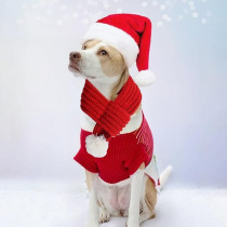 Brain Giggles Dog Santa Hat With Scarf Kids Christmas Cap Doggy Christmas Costume Pet Warm Headgear And Neck Accessories For Small Dogs Cats Pets (PET HAT And SCARF)