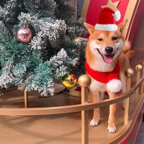 Brain Giggles Dog Santa Hat With Scarf Kids Christmas Cap Doggy Christmas Costume Pet Warm Headgear And Neck Accessories For Small Dogs Cats Pets (PET HAT And SCARF)