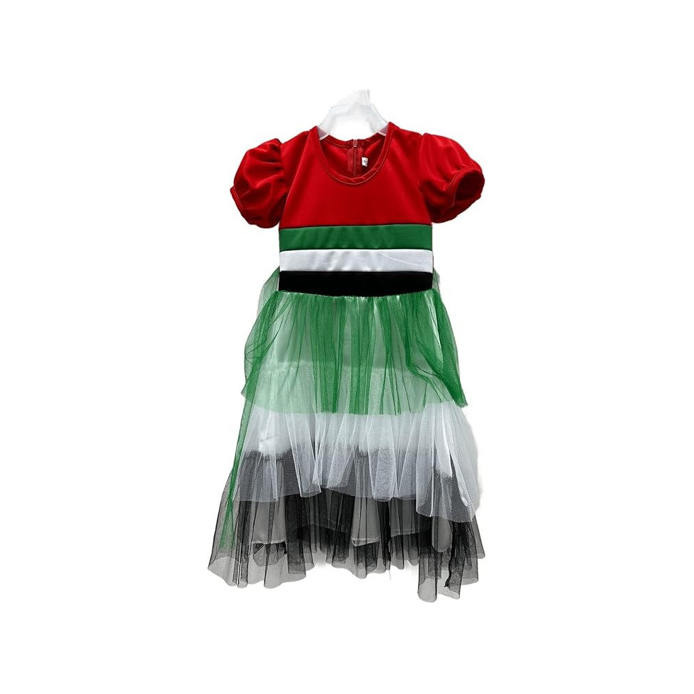 UAE National Day Dress For Girls, UAE Flag Dress, National Day Dress, 10-12 Years