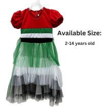 UAE National Day Dress For Girls, UAE Flag Dress, National Day Dress, 10-12 Years