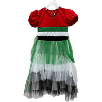 UAE National Day Dress For Girls, UAE Flag Dress, National Day Dress, 12-14 Years