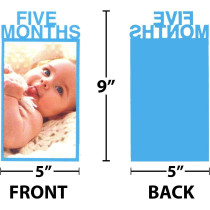 Brain Giggles Brain Giggles 1-12 Month Photo Banner For 1St Birthday Decorations, 1St Birthday Photo Banner (Multi Color)