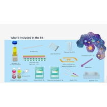 Brain Giggles Science Experiment Kit For Kids, Stem Toys For Boy Girls (Fluorescence And Glowing Science Lab)