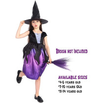 Brain Giggles Witch Dress Costume With Hat Perfect For Halloween, Purple, Large