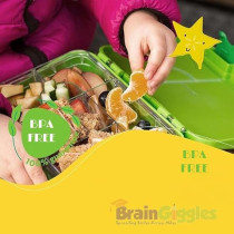 Brain Giggles Bpa Free Leakproof Airtight Bento Lunchbox With 6 Adjustable Compartments, 760 Ml Insulated Tiffin Box With Removable Tray For Kids And Adults Perfect For School Office, Light Green