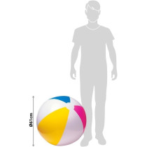 Intex 24 Inch Glossy Beach Ball, Multi Colour, 59030