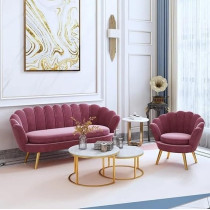Ripple Furniture Modern Color Velvet Beauty Salon Clothing Store Living Room Sofa Set (Pink)