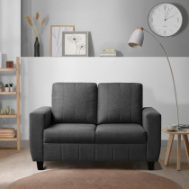 Raj Furniture Modern Fabric Sofa, 2 Seater, Stone Grey