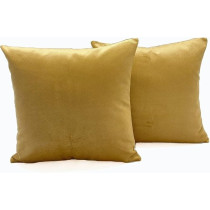 D And D Collection, Decorative Velvet Throw Pillow Cover Square Cushion Cover Set Of 2, Silky And Soft Textured, Premium Quality Sofa Upholstery Fabric (2 Pcs), 43 x 43Cm, Khaki Green
