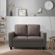 Raj Furniture Modern Fabric Sofa, 2 Seater, Pebble Brown
