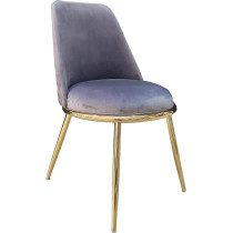 Raj Furniture Velvet Fabric Dining Back Chair, Grey