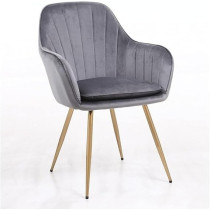 Raj Furniture Velvet Fabric Chair For Hotel Restaurant And Office Visitors, Grey