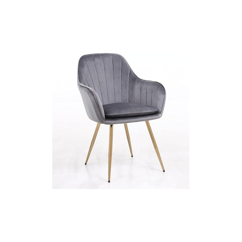 Raj Furniture Velvet Fabric Chair For Hotel Restaurant And Office Visitors, Grey