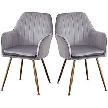 Raj Furniture Dining Chairs Set For Dining Kitchen Or Shop, Kitchen Velvet, Dining Chair Set Of 2 Kitchen Dining, Room Chair Living Room High Back Armchair With Metal Legs Velvet Seat, Grey