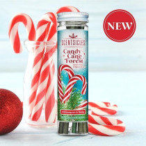Scentsicles Candy Cane Forest Scented Christmas Ornaments With Hooks, 1 Bottle, 6 Piece Sticks