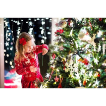 Scentsicles Premier O Christmas Tree Green Oil, 25 g