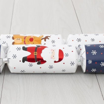 Harvey & Mason 10 Family Eco Christmas Crackers, Blue/White, Santa Friends
