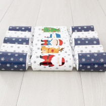 Harvey & Mason 10 Family Eco Christmas Crackers, Blue/White, Santa Friends