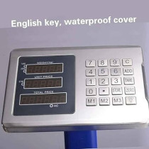 Abbas Ali Platform Digital Heavy Duty LCD Display Scale, 150 Kg