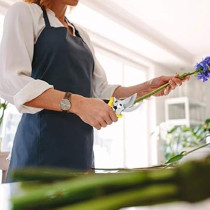 Generic Gardening Hand Cutter, Garden Pruning Shears, Hedge Trimming Scissors, Tree Pruner, Ratchet Trimmers, Secateurs Ideal For Plant