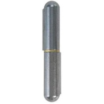 Abbas Ali Bullet Hinge In Weldable Steel Stainless Steel, 120 x 16 x 18