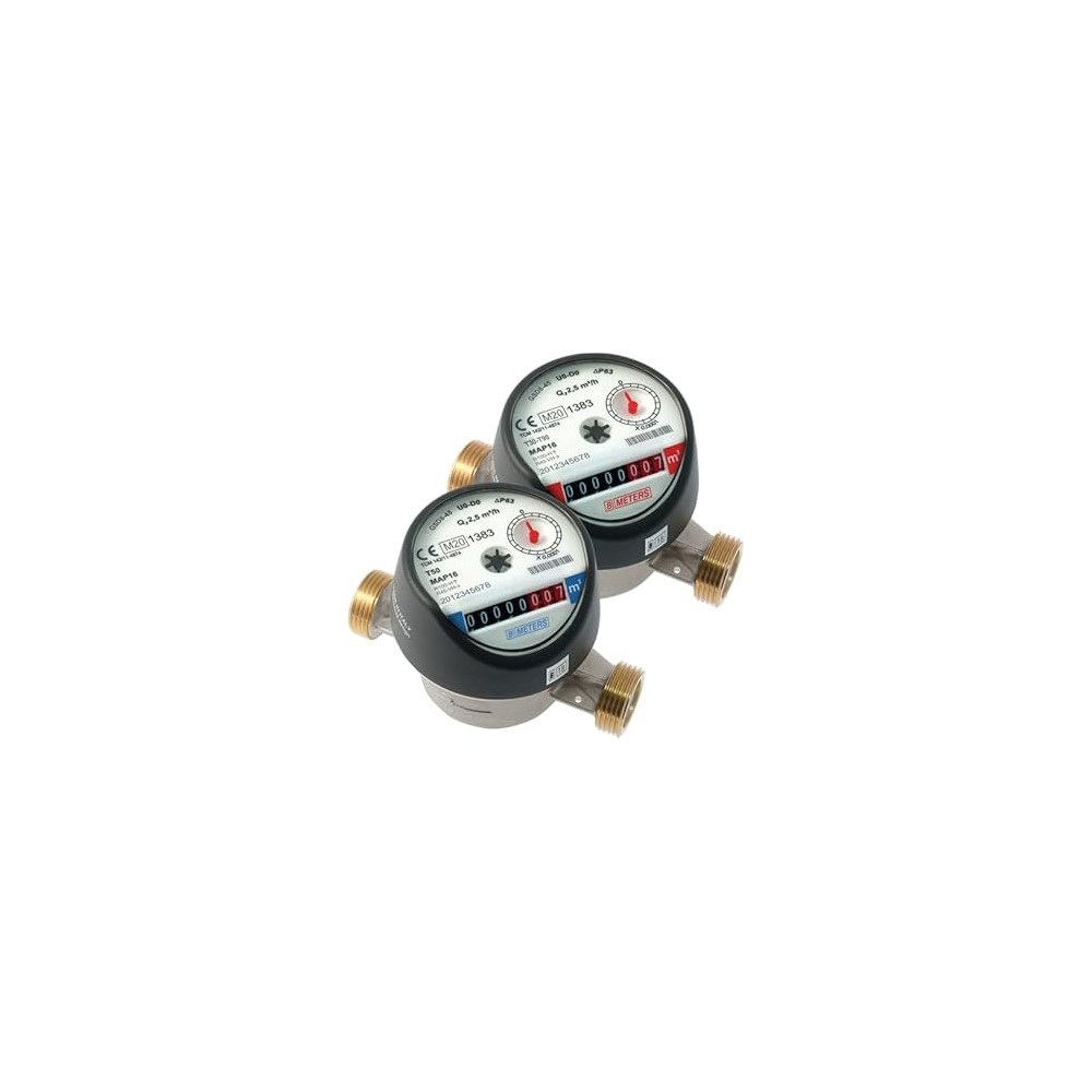Abbas Ali 1/2 Inch Water Meter GSD5-G, Hot Water