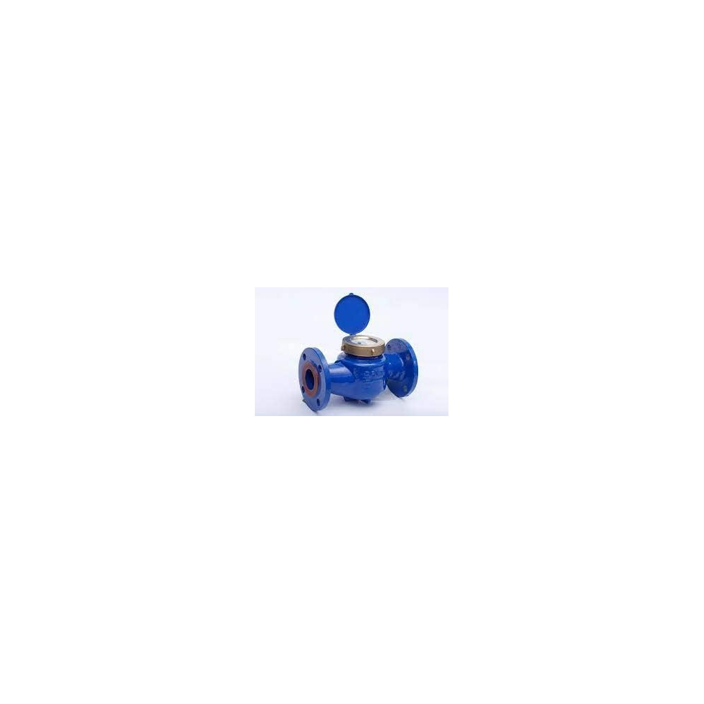 Abbas Ali 4 Inch Water Meter Brass Cover Lxs-100E Flange