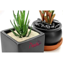 Abbasali Multi Purpose Natural Sand For Construction Flooring Aquarium Plants And DIY 1Kg With Gloves, Karandi Small And Bucket, Black Sand