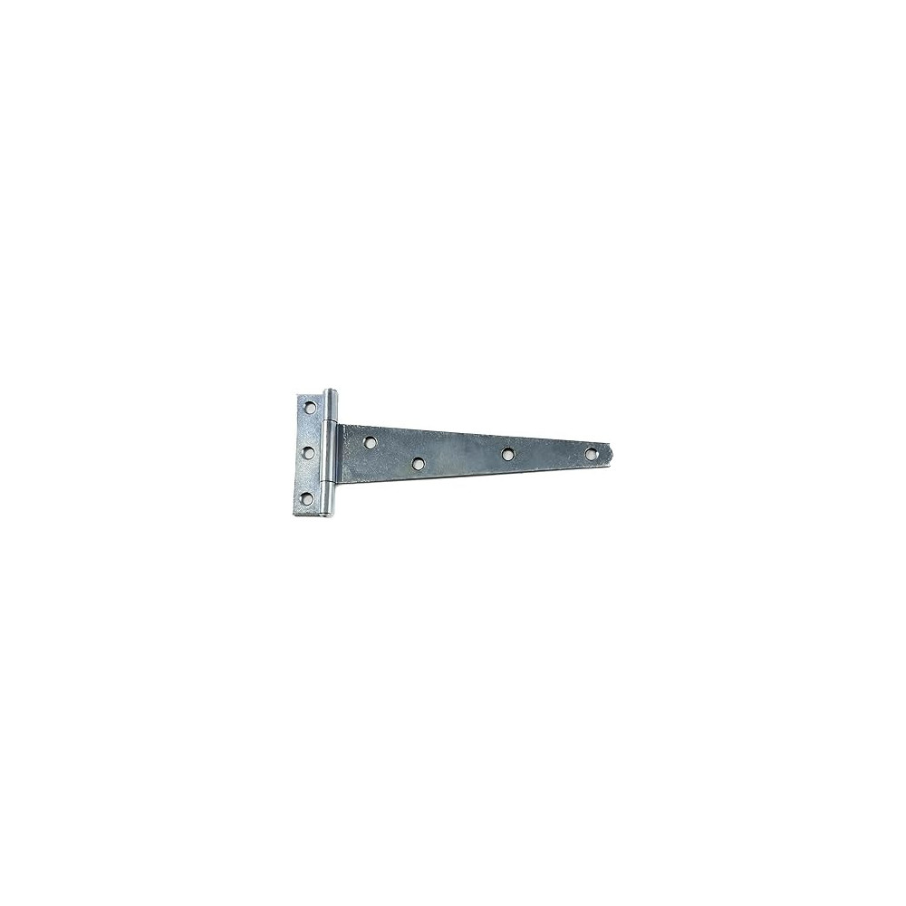Abbasali 8 Inch Zinc Plated Steel T-Hinges