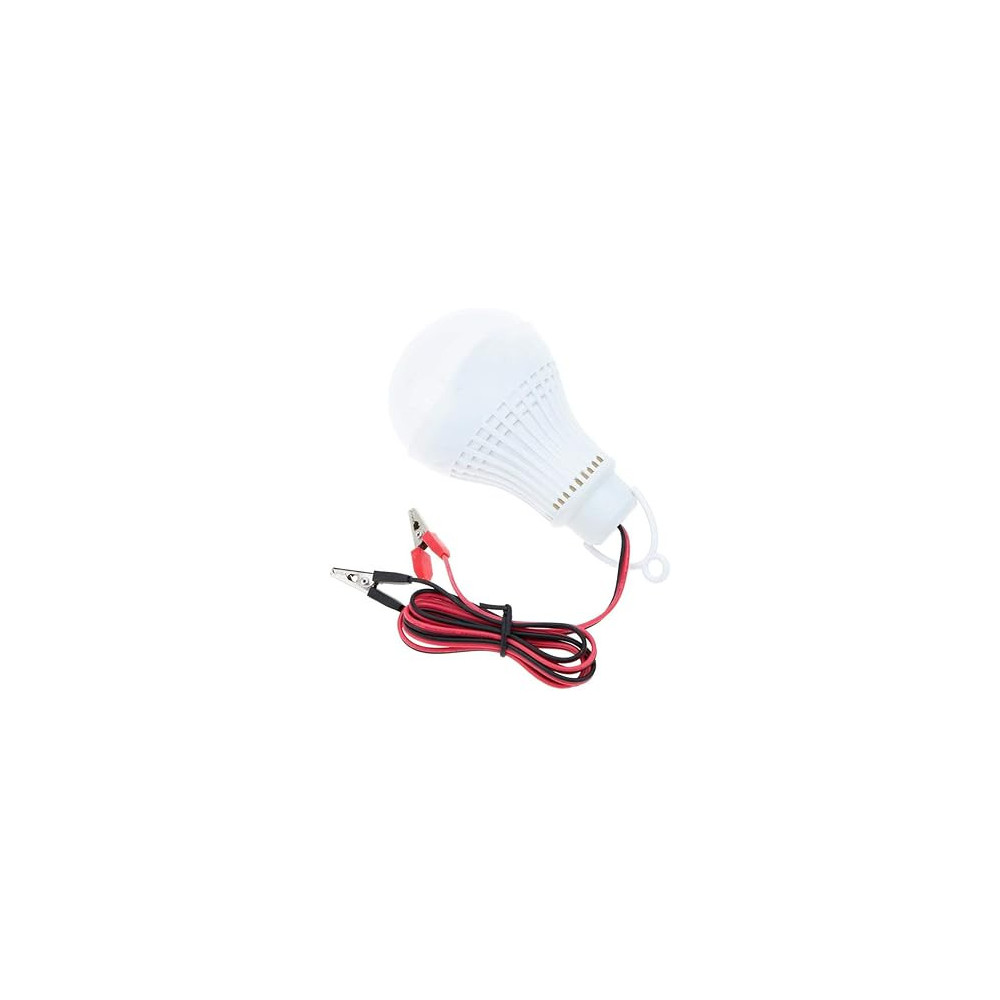 Generic Outdoor Energy Saving LED Bulb, DC12V L