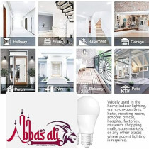 Abbas Ali E27 LED Bulb 12W with Bulb Holder And B/R Cable, 30 Meter