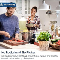 Abbas Ali E27 LED Bulb 12W with Bulb Holder And B/R Cable, 30 Meter