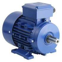 Abbas Ali Single Phase Motor 2800 RPM, 3 HP