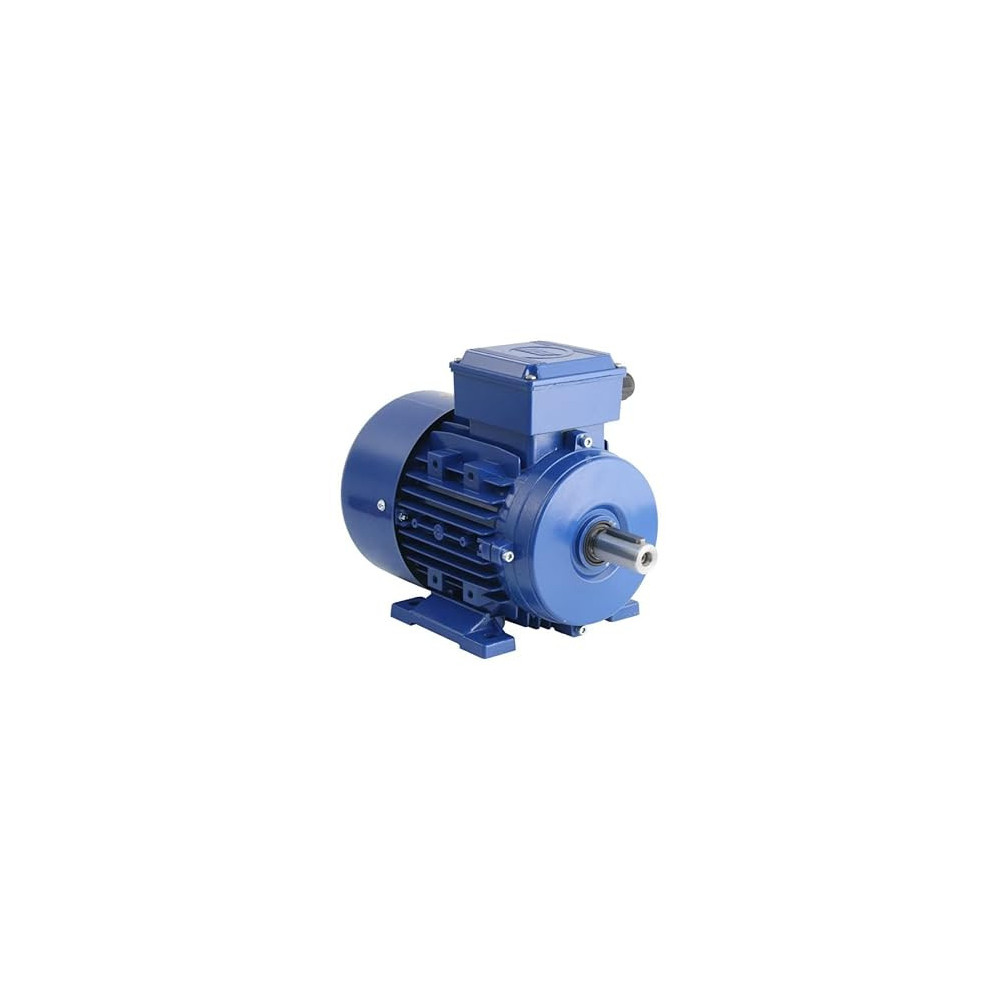 Abbas Ali Single Phase Motor 2800 RPM, 3 HP