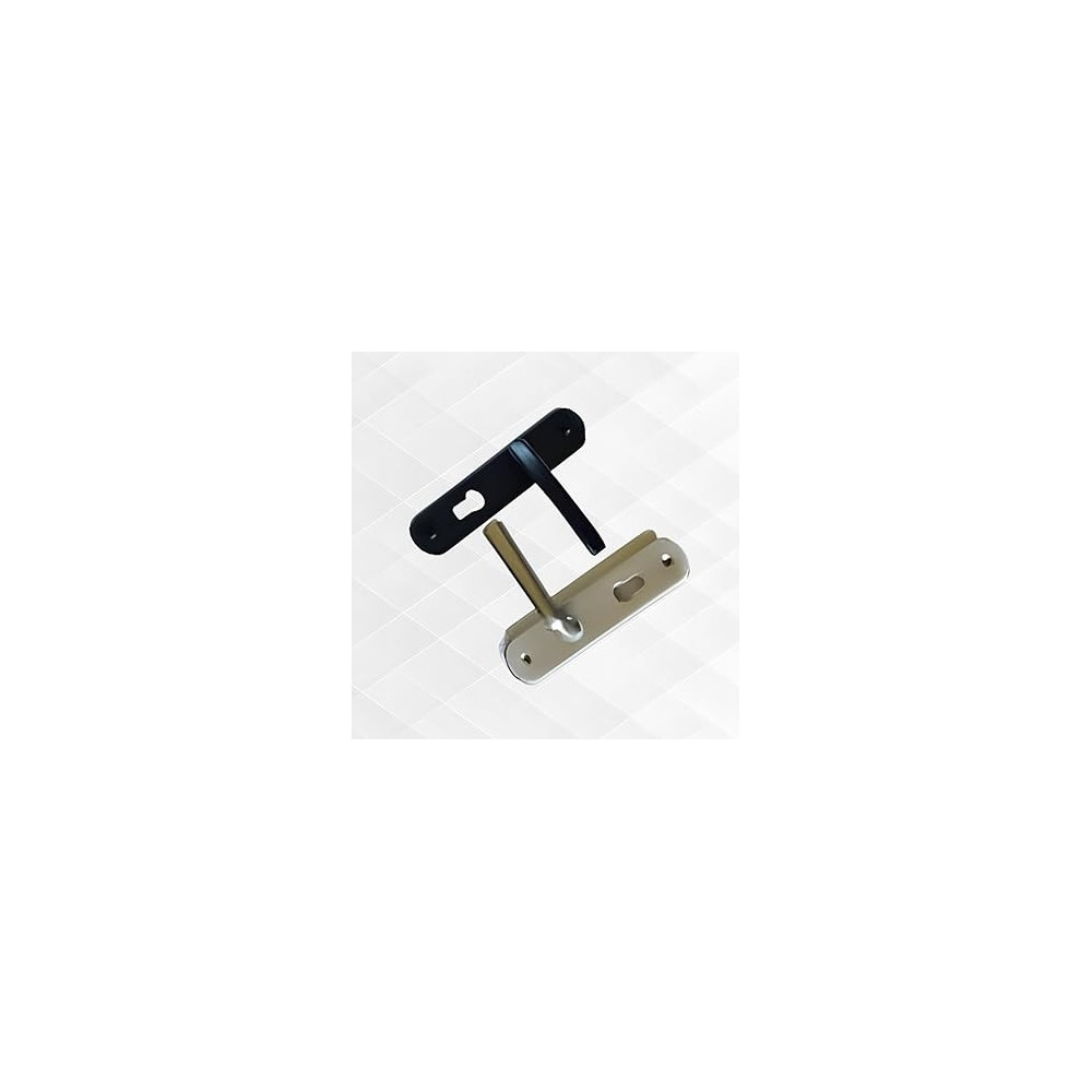 Abbas Ali Wooden Door Handle and Door Lock for Entrance and Interior Doors, Small Model E97-B231, Silver