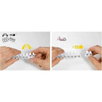 Abbas Ali 10 Position Screw on Wire Connector Strip, Terminal Block, NF CE EAC RoHS Standard, Made in Austria, 2.5 - 10mm Single Strip
