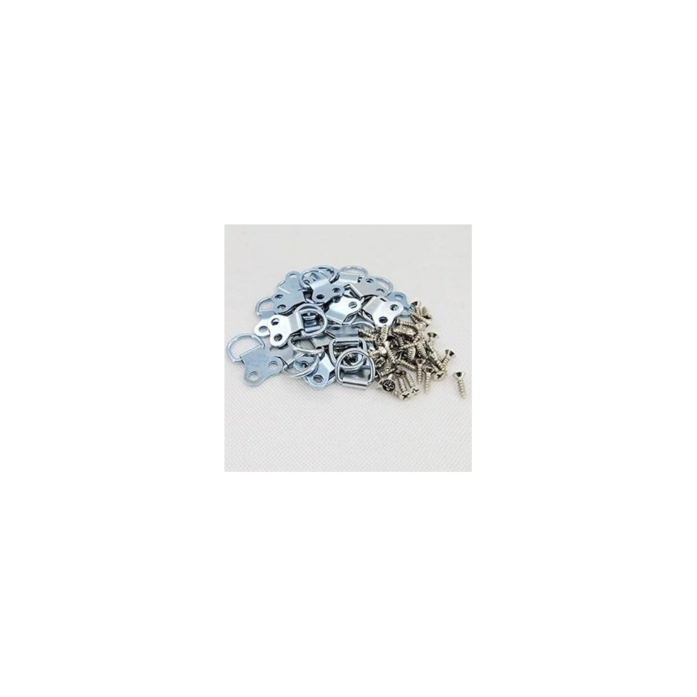 Abbas Ali Galvanized D-Ring Picture Frame Hanging Hooks with Screws, 25 Pcs