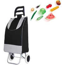 Abbas Ali Portable And Foldable Shopping Trolley Bag, Available in Multiple Colours