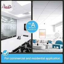 Abbas Ali Gypsum False Ceiling Tiles, Off White, 595x595x7mm, Pack of 16