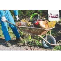 Abbas Ali Green Wheelbarrow for Garden And House Cleaning with Air Wheel And Gloves