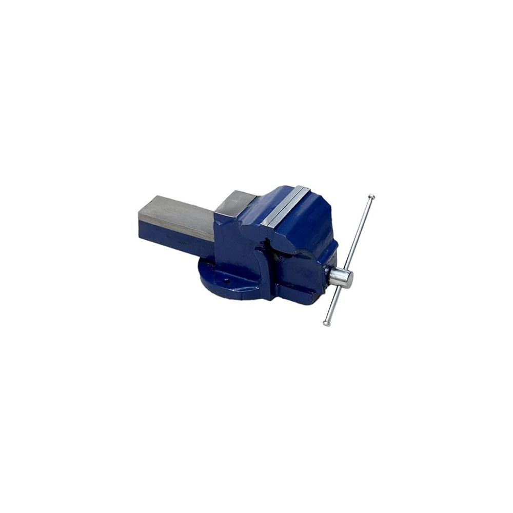 Abbasali Professional Heavy Duty Cast Iron Bench Vice, Fixed Base, 125mm 5 Inch