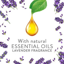 Air Wick Plug-In Scented Oil Fragrance Diffuser With Refill, Lavender, Eliminates Bad Odour Like Cat Litter Smell, 19Ml