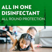 Dettol Morning Dew Antibacterial All In One Disinfectant Spray For Use On Sofa, Car Seats, Kitchen Surfaces, 450Ml
